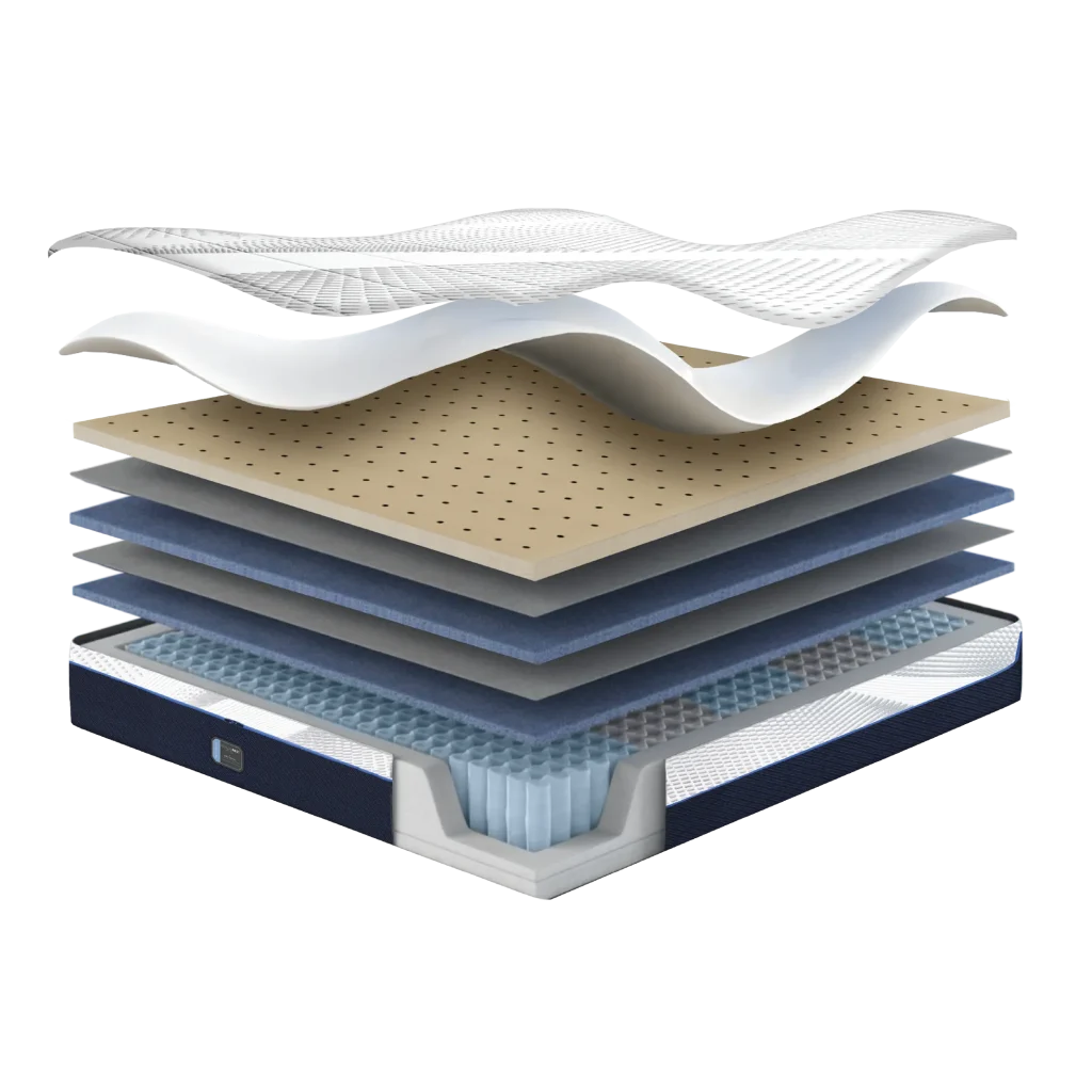 Revitalise Layer